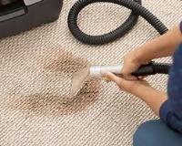 Carpet Cleaning Logan image 4